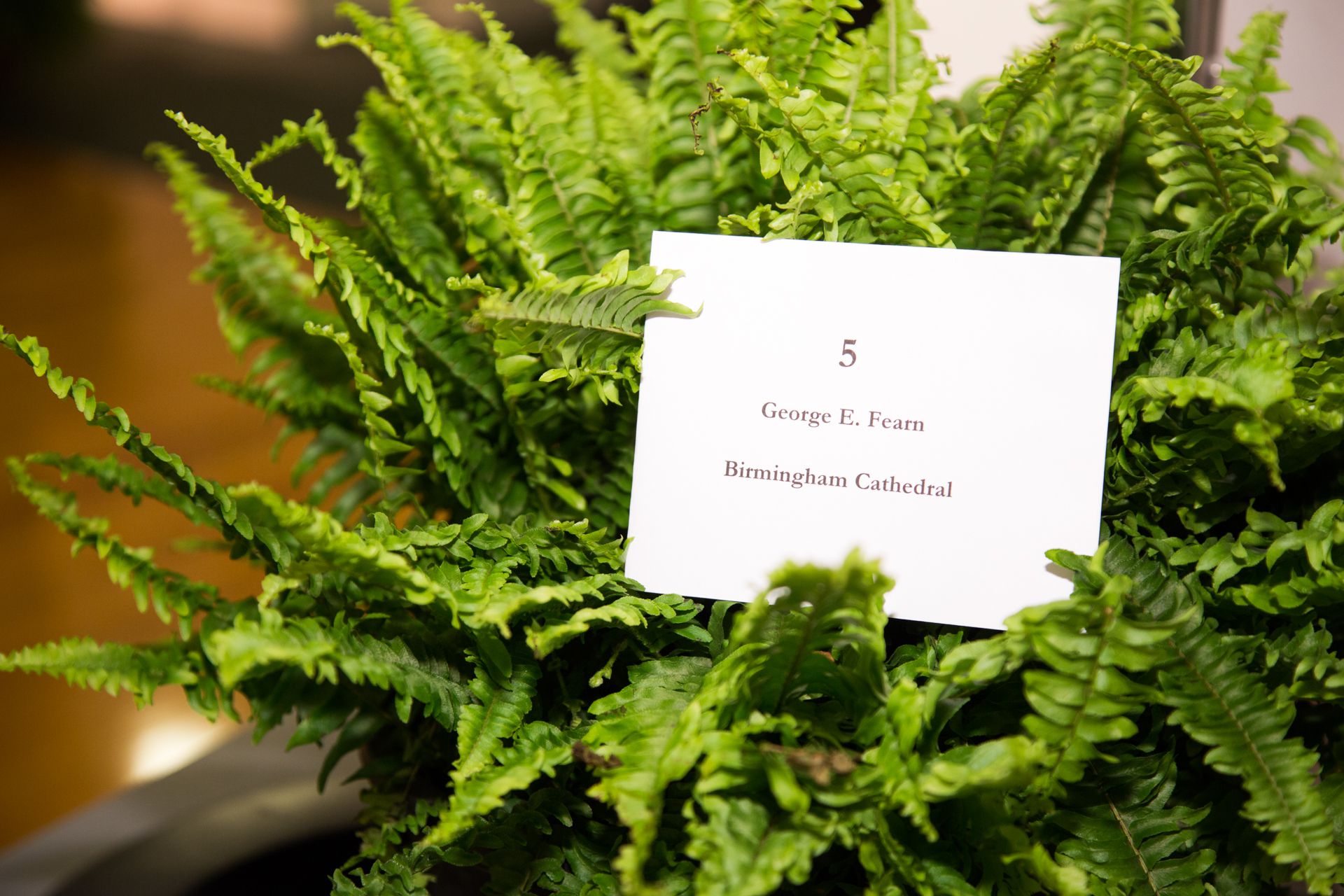 5.21.2014 National Cathedral Bell Ringers 96